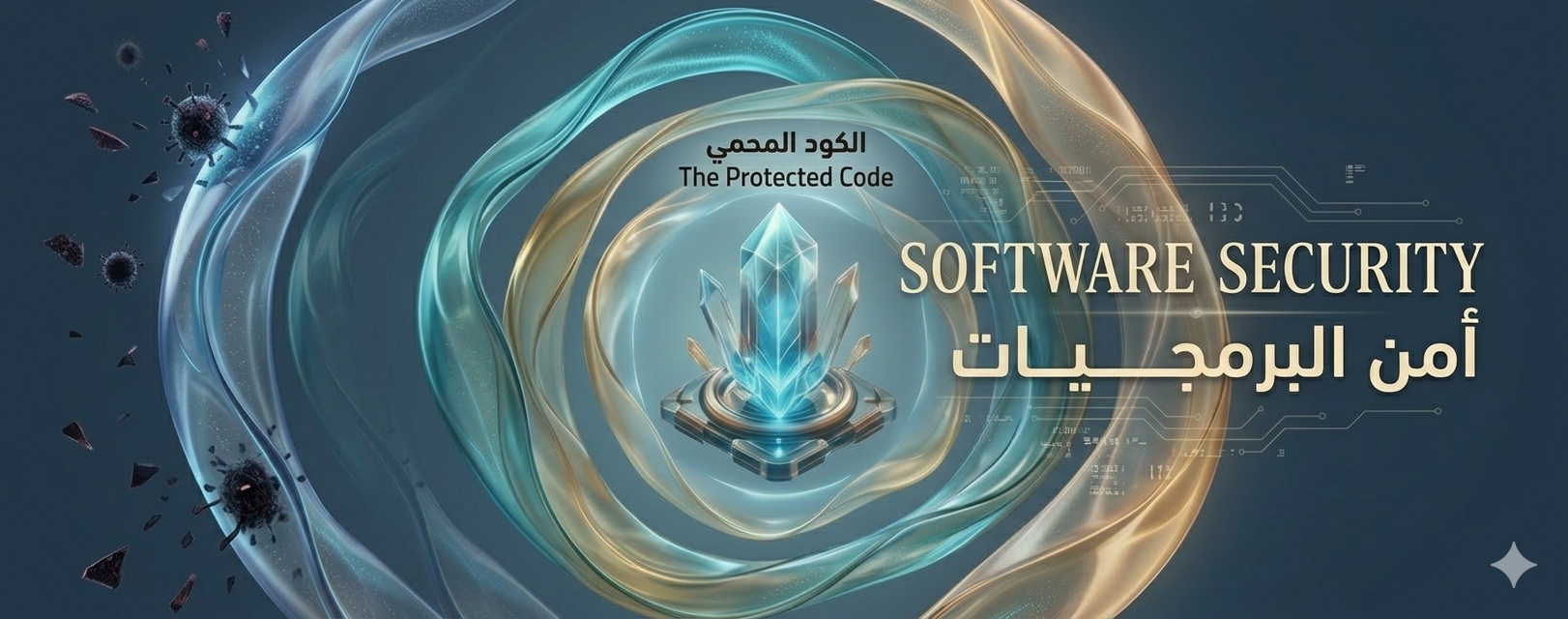 أمن البرمجيات